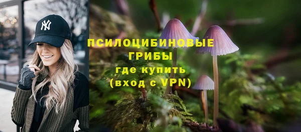 MESCALINE Алзамай